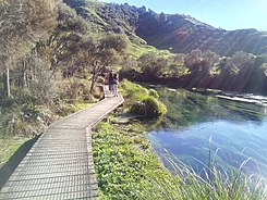 Blue Spring in Putaruru.jpg