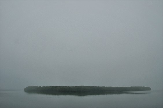 Mangrove island St. Joseph Sound, Florida