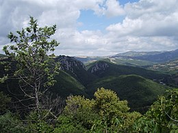 Bosco dei Rocconi.jpg