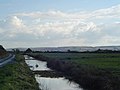 Braunton Marshes and swans. Taken from Marsh Road