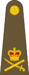 Britische Armee OF-8.svg