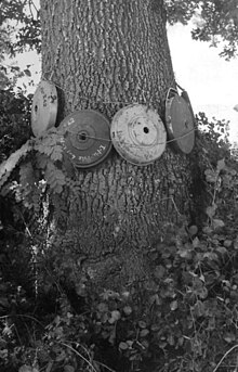 Various Tellermines strapped to a tree. Fuzes and pressure-plates have not been fitted Bundesarchiv Bild 101I-315-1143-29, Italien, Minen Z42 an Baumstamm.jpg