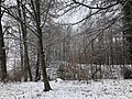 Vorschaubild für Burg Auernheim