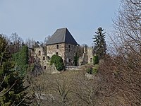 Die Burgruine im März 2019