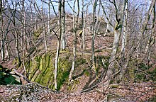 Hattstein Castle's ruins in 2004 with ditch in the foreground and a piece of wall on the knoll through the trees Burgruine-Hattstein-Taunus-B-17-JR-2004-03-28.jpg