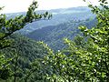 Ausblick auf Burg Rannariedl