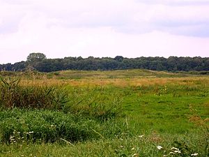 Remparts du château en été