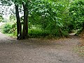 Rock snake created during the 2020 COVID-19 pandemic in Bursted Wood at Barnehurst.