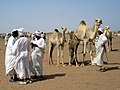 Auf einem Kamelmarkt im Sudan, im Osten der Sahelzone