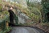 Тунел на канала, Shelmore Wood.jpg