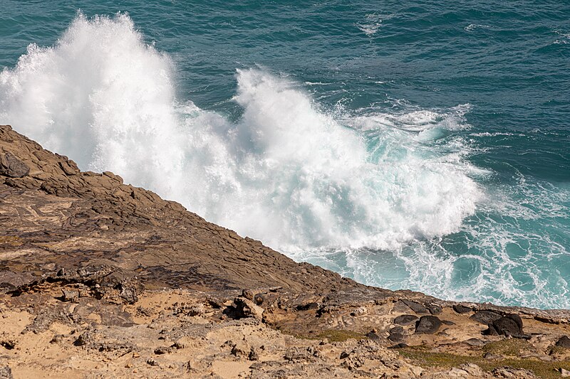 File:Cape Bridgewater (AU), Petrified Forest -- 2019 -- 0760.jpg