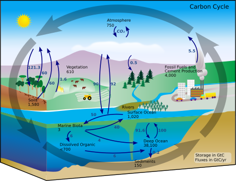 Figure 2. This carbon cycle diagram shows the storage and annual exchange of carbon between the atmosphere, hydrosphere and geosphere in gigatons - or billions of tons - of Carbon (GtC). Carbon cycle-cute diagram.svg