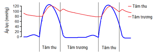 Tăng Huyết Áp: Triệu chứng cơ năng và triệu chứng thực thể, Nguyên nhân, Sinh lý bệnh