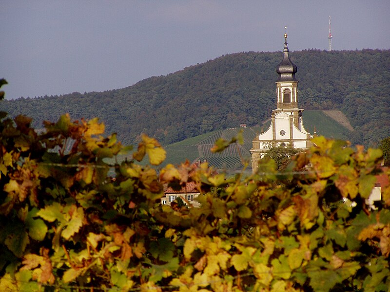 File:CastellimHerbst.JPG