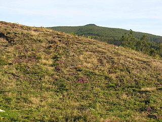 Castrolandín, Outubro de 2005