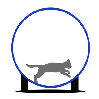 <span class="mw-page-title-main">Cat exercise wheel</span> Large wheel