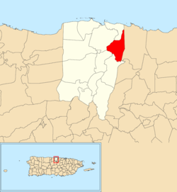 Locatie van Ceiba binnen de gemeente Vega Baja weergegeven in rood