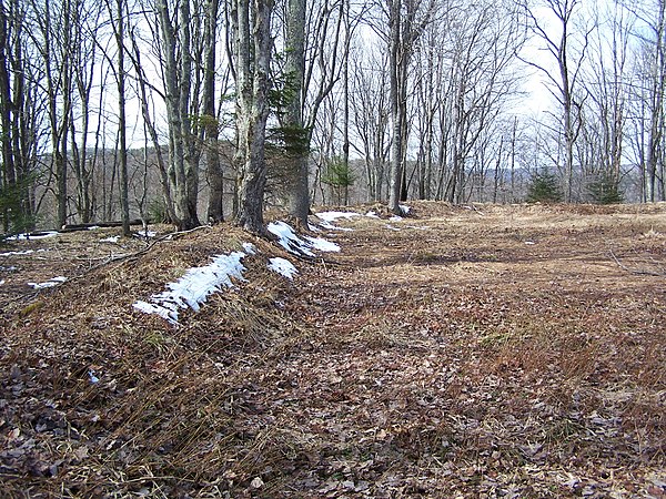 Earthworks at Fort Milroy, pictured in 2006