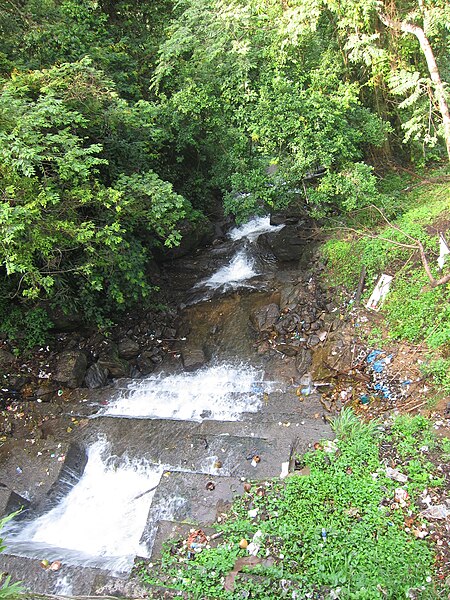 File:Cheeyappara Waterfalls - ചീയപ്പാറ വെള്ളച്ചാട്ടം 01.JPG