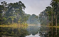 Parc national de Chitawan