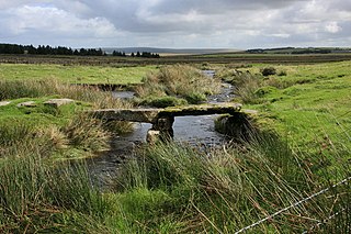 Blackbrook River Tributary of the West Dart River in Devon, England