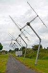 Surviving Yagi antennas of the Cambridge Low Frequency Synthesis Telescope