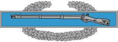 Combat Infantryman Badge[72]