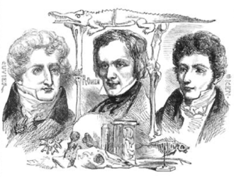 Engraving of Georges Cuvier, Richard Owen, Lorenz Oken. Originally at p. 161 of the first volume (1854) of Orr's Circle of the Sciences, it was reproduced as on this plate in Owen's The Principal Forms of the Skeleton and the Teeth (1856), which was the standalone publication of two of Owen's articles. Cuvier Owen Oken.png