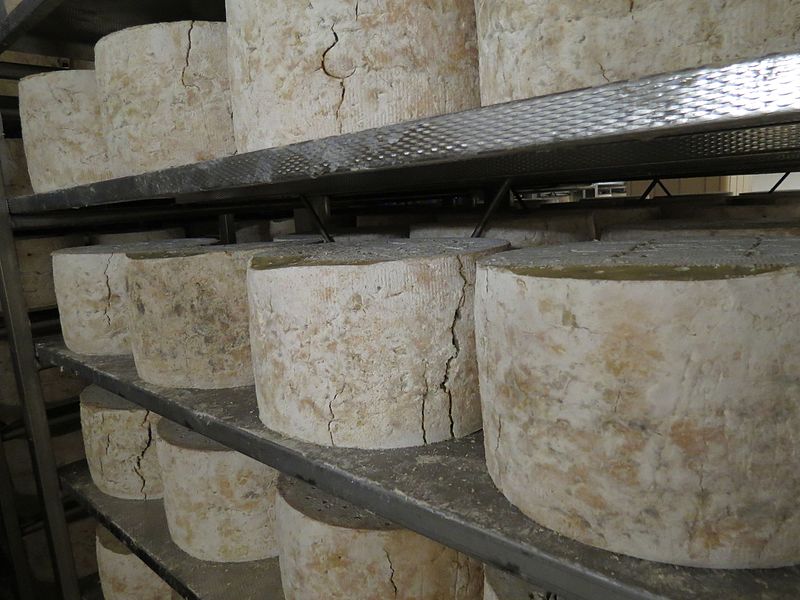 File:Détail d'une étagère de gorgonzola à la fromagerie Mauri 2.jpg