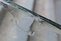 * Nomination Damaged Glass used on a railing at the stairs of Hackerbrücke S-Bahn station. --Kritzolina 19:54, 24 January 2023 (UTC) * Decline  Oppose Lacks sharpness. Sorry. --Ermell 23:40, 24 January 2023 (UTC)