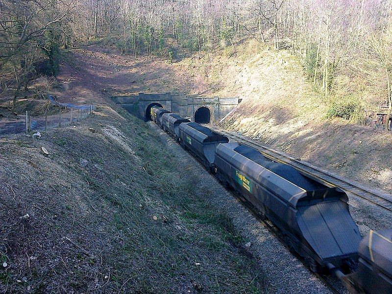 File:Dinmore Tunnel coal train - geograph.org.uk - 3358015.jpg