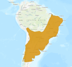 Distribuição geográfica do furão-pequeno.png