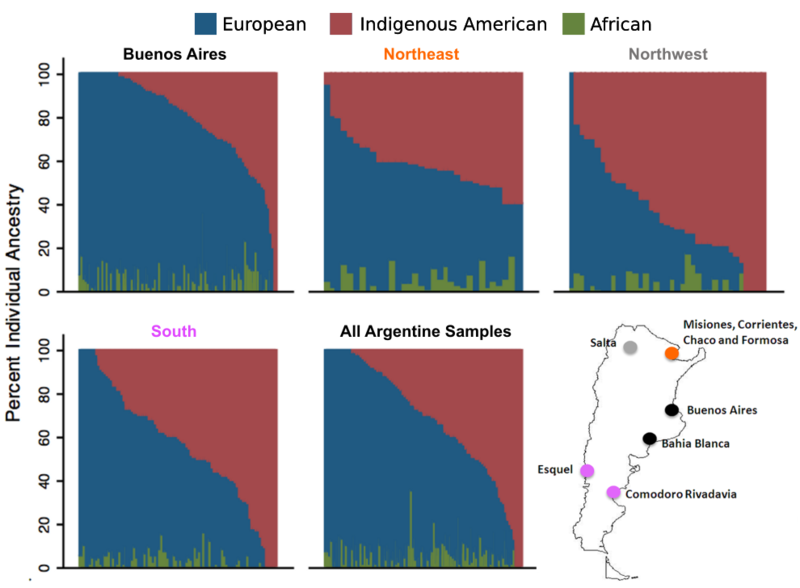 File:Distribution of genetic ancestry among 441 individuals from Argentina by four major regions..png