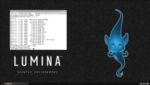 DragonFly BSD 6.2.1 Lumina screenshot desktop.png