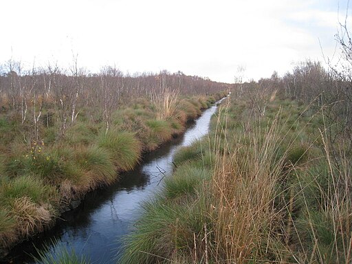 Drain on Thorne Waste - geograph.org.uk - 2708438