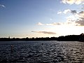 Thumbnail for Edgbaston Reservoir