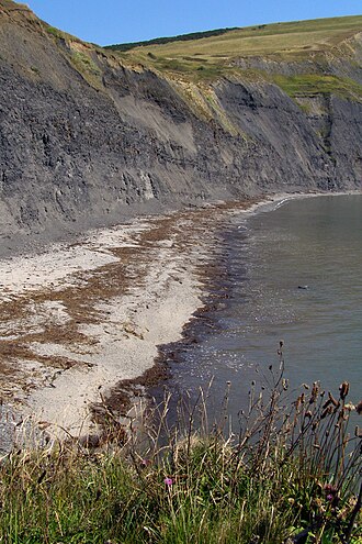 Looking down on the beach at Egmont Bight Egmont bight from freshwater steps promontory dorset.jpg