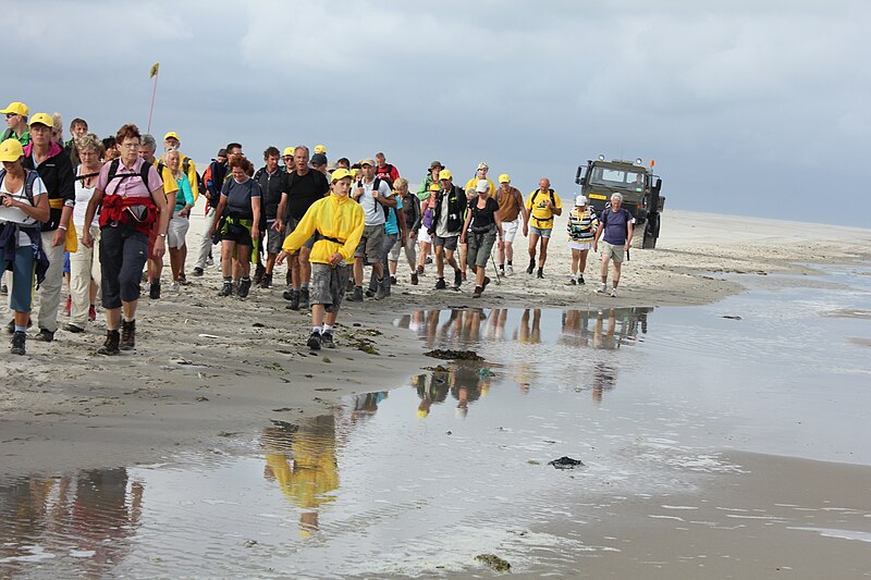 File:Eilandvijfdaagse Vlieland.JPG