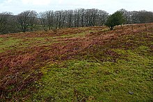 Enclosure at Sweetworthy (geograph 2787355).jpg