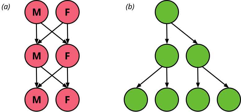 File:Evolsex-dia1a.svg