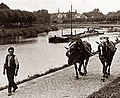 English: Category:Towing with horses Deutsch: Treideln mit Pferden