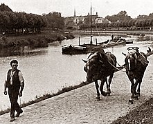 Treideln mit Zugpferden auf einem Leinpfad am Finowkanal, um 1890