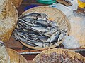 Fishfood in Thailand.jpg