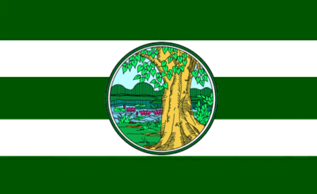 ไฟล์:Flag_of_Phichit_Province.png