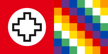 Dual flag