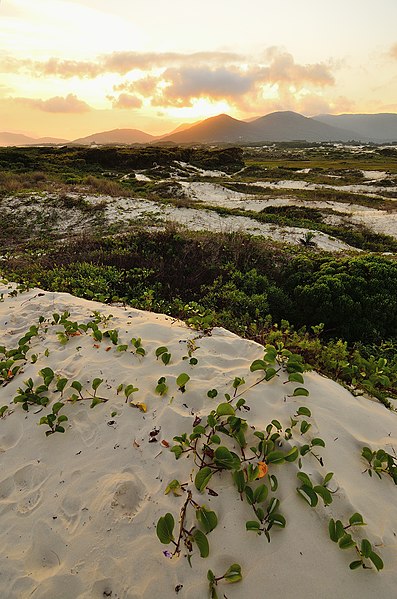 File:Florianópolis, State of Santa Catarina, Brazil - panoramio (11).jpg