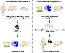 Open access (CC BY) figure from the following reference: Atanasov AG, Waltenberger B, Pferschy-Wenzig et al. Discovery and resupply of pharmacologically active plant-derived natural products: A review. Biotechnol Adv. 2015, doi: 10.1016/j.biotechadv.2015.08.001. . (Article online at - https://www.ncbi.nlm.nih.gov/pmc/articles/PMC4748402/