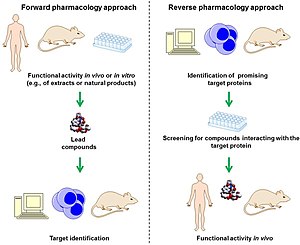 Forward and reverse pharmacology.jpg