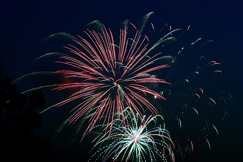 File:Fourth of July Fireworks (3691448221).jpg