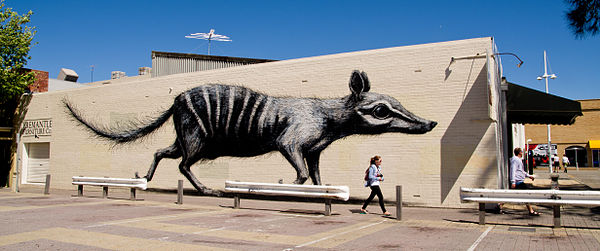 Mural of a numbat by Belgian street artist ROA in Fremantle